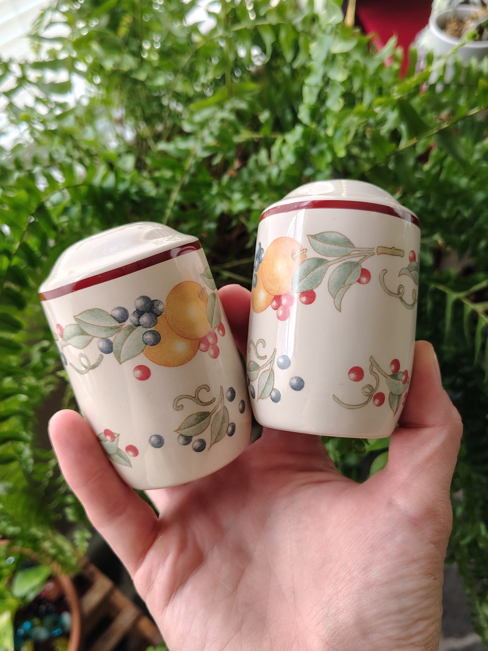 Fruit Pattern Ceramic Salt and Pepper Shakers
